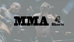 Shorts de combat MMA personnalisés en gros pour usine, service OEM, impression numérique Spandex/Polyester, unisexe - Product Image 6