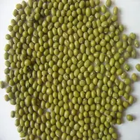 Green Mung Beans, Green Gram, Moong Dal, Vigna Beans