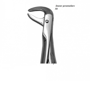 การสกัดคีมกรามล่าง75 - Product Image 6