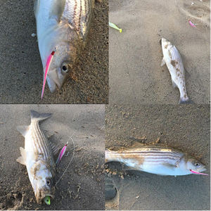 10 pièces/ensemble pêche en eau salée gabarit bouchons de pêche leurre Bucktail Teasers pêche crochet plate-forme - Product Image 5