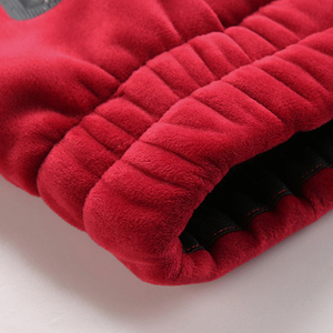 Lwarm hiver sweats costume hommes deux pièces ensembles épais polaire doublé sweat à capuche pantalons de sport hommes survêtements 100% coton adultes - Product Image 4