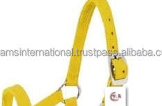 Cabestro de Nailon de Alta Calidad para Caballo, Color Amarillo - Product Image 2