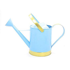 Canne de stockage d'eau en métal et fer pour décoration extérieure, plante verte, nouveau design, arrosoir de finition avec revêtement en poudre - Product Image 6