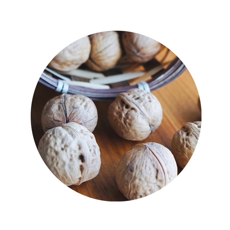 Оптовая продажа, высокое качество, низкая цена, органический орех в Ракушке