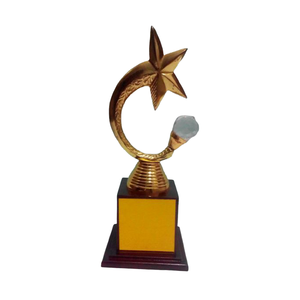 Trophée personnalisé d'étoile en métal antique fait à la main pour le sport Sculptures de décor d'étoile plaquées or Cadeau décoratif - Product Image 6