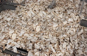 Khô khoai mì chip/sắn chip - Product Image 3