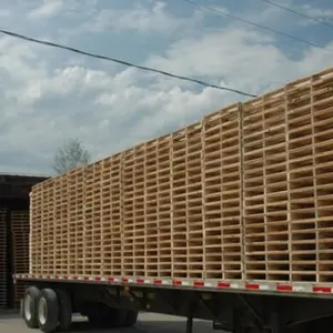 Pallet Gỗ Poplar LVL Khử Trùng Miễn Phí