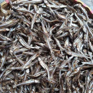 좋은 품질 말린 멸치 잘 태양 Sprats 판매 건조 물고기 없음 소금 W/S: 0084 923 158 607