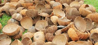 Coque de noix de coco râpée, g, au meilleur prix