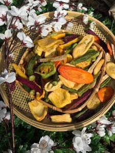 Frituras mixtas de frutas y verduras secas al por mayor, frutas secas hechas 100% de Vietnam, Shyn Tran - Product Image 5