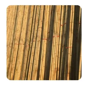 자연적인 대나무 폴란드 베트남에서 익지않는 대나무/대나무 지팡이 + Jolene + 84 336089155