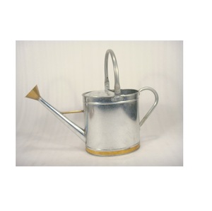 Décoration de jardin en fer Canne d'arrosage en métal Coq - Product Image 3