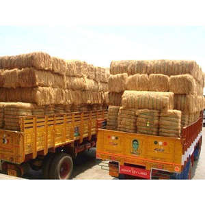 Fibre de coco / Fibre de coque de noix de coco / Fibre de coco - Product Image 5