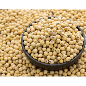 Nutritious Soybean 100 Treats For A Healthy Life Alibaba Com