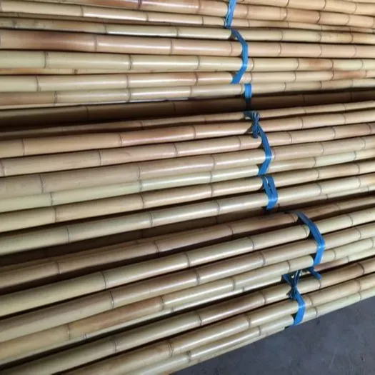 Bamboo poles, nulgar bamboo poles