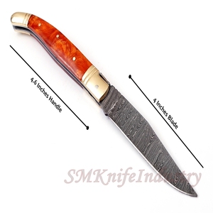 Custom Hand Forged Pocket Knife Hand Made Damascus Folding Knife with Leather Sheath Cover (smk1691) - Product Image 3
