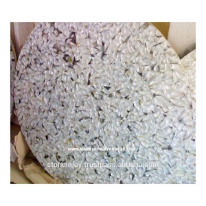 Natural Stone <b>White</b> Mother Of Pearl <b>Dining</b> <b>Table</b> Top - Product Image 1
