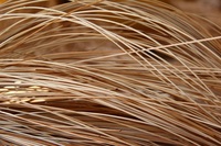 Matériau de base en rotin 100% naturel de haute qualité pour meubles de maison (chaises, tables, lits) - Marque EUTECH