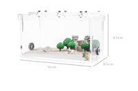 Fourmilière Classique en Plastique Écologique Design Spécial Château de la Jungle Empire des Fourmis AG8 14X8.5X8.5cm Toutes Saisons