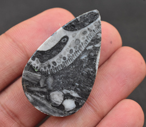 Zebra พลอยแอควอตซ์ Cabochon Zebra,พลอยทรงหลวมแบบพลอยควอตซ์ Cabochon แบบม้าลาย - Product Image 5