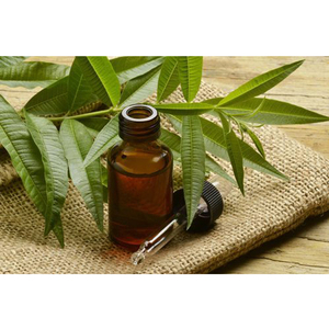 Top Seller's Most Selling Natural Aromatherapy Tea <b>Tree</b> Essential Oil Pure Essential Oil at Nominal Price - Product Image 1