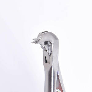 Esparcidor de corona Premium, removedor de astillas, superventas, restaurador Dental y puntas dentadas, fórceps, juego Dental, instrumentos quirúrgicos - Product Image 5