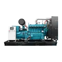 산업 상업을 위한 Generac 천연 가스 Biogas 발전기 Ng LPG 100kw 300kw 400kw 물에 의하여 냉각되는 Weichai Cummins 엔진을 여십시오