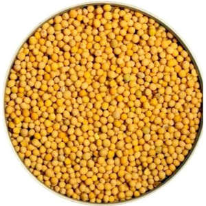 Graines de moutarde jaune séchées de haute qualité, assaisonnements de cuisine, 25 kg, traitement brut, prix bas - Product Image 1