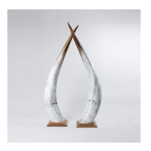 Corne de vache de haute qualité, centre de table décoratif d'intérieur, taille personnalisée et support en bois avec vente - Product Image 3