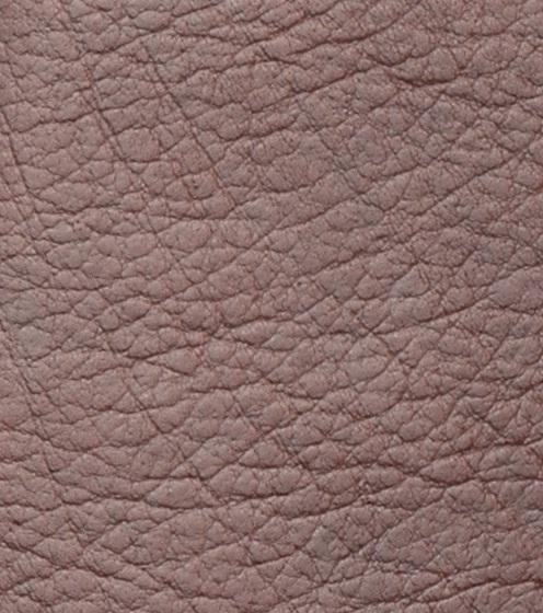 สีน้ำตาลเข้ม