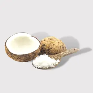 Guscio di cocco in polvere zucchero di cocco marrone di alta qualità a basso costo verde giovane cocco in vendita