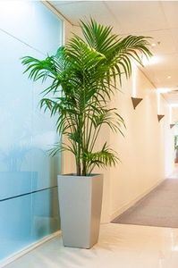 Maceta Rectangular Minimalista Ecológica en Oferta, Maceta Galvanizada con Recubrimiento en Polvo, Acabado en Color Negro para Jardín o Parque - Product Image 2
