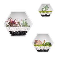 Vas Tanaman Dinding Minimalis Geometris CL dari Kayu Pinus Berbentuk Sarang Lebah, Terarium dengan Ukiran Tangan, Ukuran Dapat Disesuaikan untuk Rumah dan Taman
