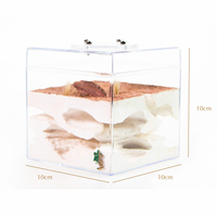 Empire of Ants Classic Wilderness Medium Desert Formicarium Ant Farm Eco-Friendly Plastic All Seasons