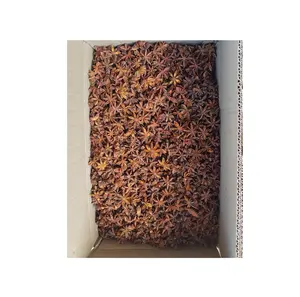 Dried Autumn star anise cinnamon black pepper white pepper spcies ( Cell/ whatsapp:+84398885178)