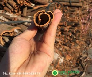 Cannelle cassia du Vietnam de qualité supérieure, brisée, propre, sèche et naturelle, en vente chaude pour l'exportation, la vente en gros et la transformation alimentaire - Product Image 5