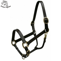 Harnais équestre PRIMO EQUINE de haute qualité, personnalisable, nouveau design, triple épaisseur, cuir durable, quincaillerie en laiton incluse