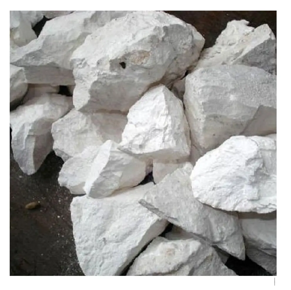 100% الحجر الجيري الطبيعي فيتنام حجر جيري أبيض مقطوع أعلى بيع