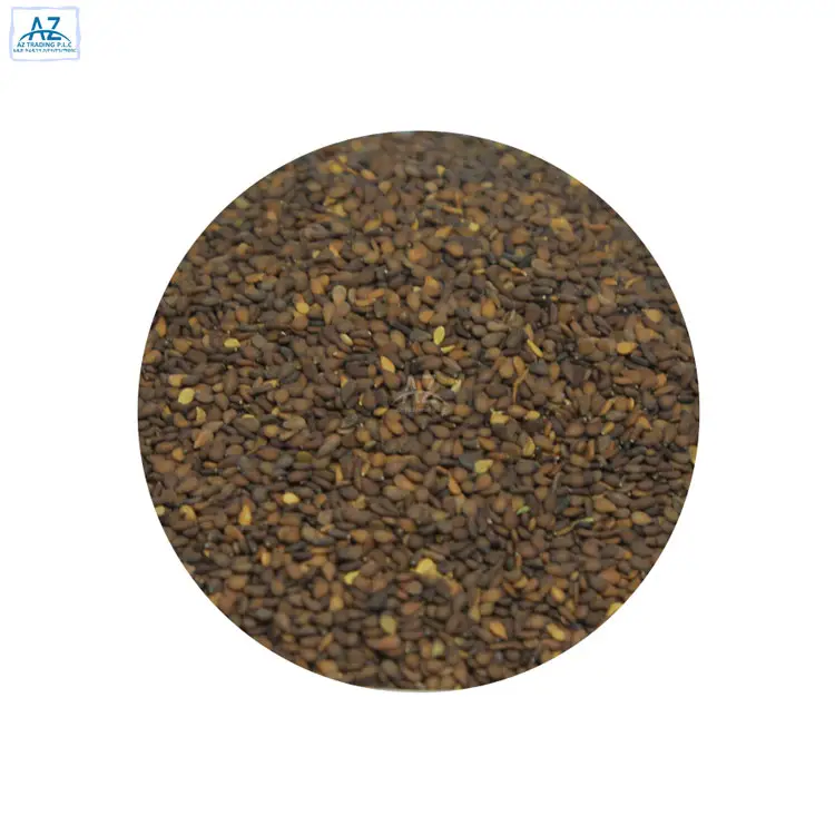 Hot Sale on Bulk Quantity Ethiopian Exporter of High Quality Reddish Sesame Seeds 0.2% Max 0.5% Max 2021 New Crop Null 45%