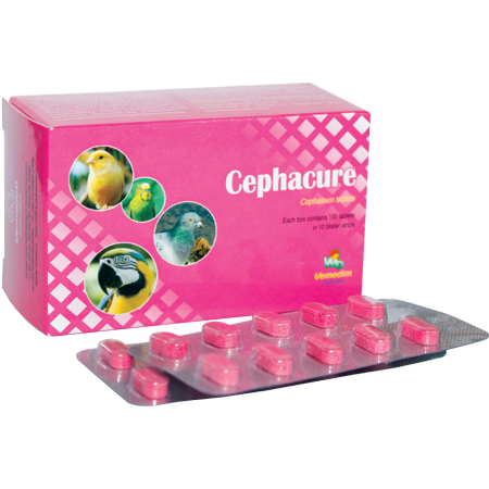 Specific treatment of respiratory tract infections and arthritis for Pigeon, Bird, Cephacure