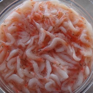 CAMARONES SALADOS A PRECIO COMPETITIVO, PRODUCTO MARINO ORGÁNICO - Product Image 6