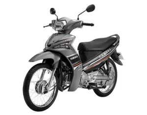 Vietnam new style 110cc motorcycle - Hot sales