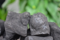 Charbon de bois dur Greenfirecoal de haute qualité, types bâtonnets et morceaux, 7200J Calorie, prix bas par tonne pour barbecue