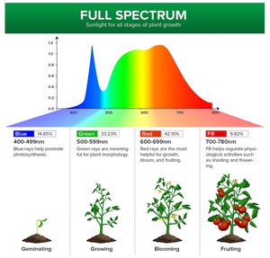 Bombilla led SANSI e27 230vac 36w para cultivo de plantas, para <span class=keywords><strong>brocolli</strong></span> - Product Image 4