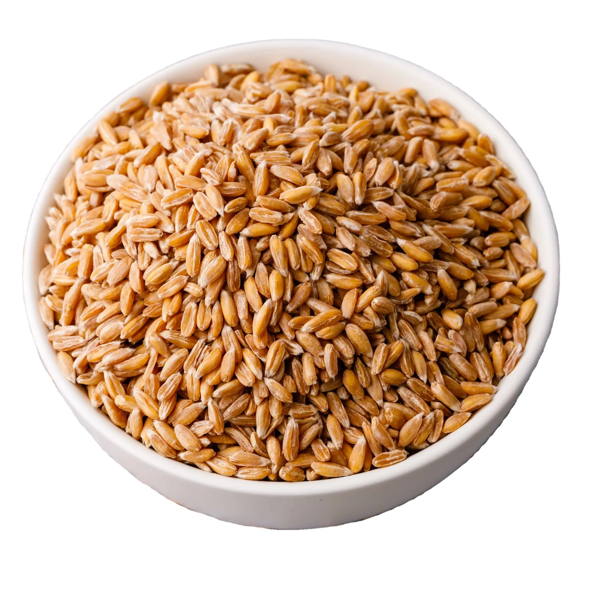 Fee Organic Wheat Grain Hot Sale Dry Milling Wheat Human Fee 9.5 % Min LTG EXPORTS 12% MAX 1% MAX Fresh from IN;7903232 Hard 99%