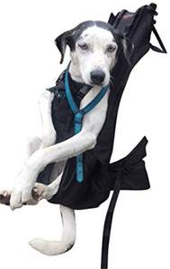 Pliant Respirant Haute Classe Porte Cages Pour Animaux de compagnie - Product Image 6