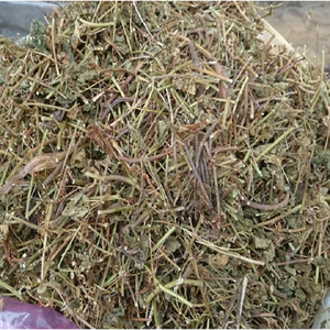 High Quality Vietnam Passion <b>Flower</b> Tea Fresh and <b>Dried</b> for Holiday Drinks - Product Image 4