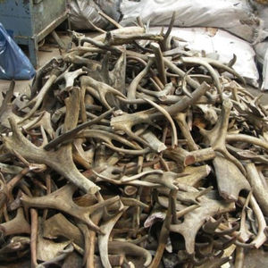 Plantes de cerfs rouges de qualité supérieure, 4 pièces, puce pour cerf rouge, qualité supérieure - Product Image 3