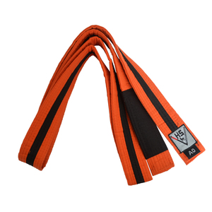 Customized Logo Martial Arts <b>Equipment</b> <b>Karate</b> Taekwondo BJJ Judo Belts for sale - Product Image 4