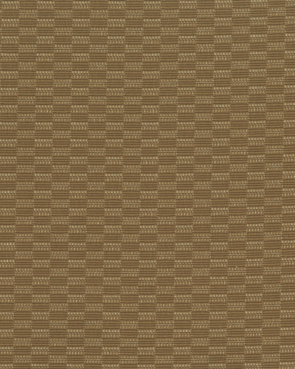 สีดำสีกากี